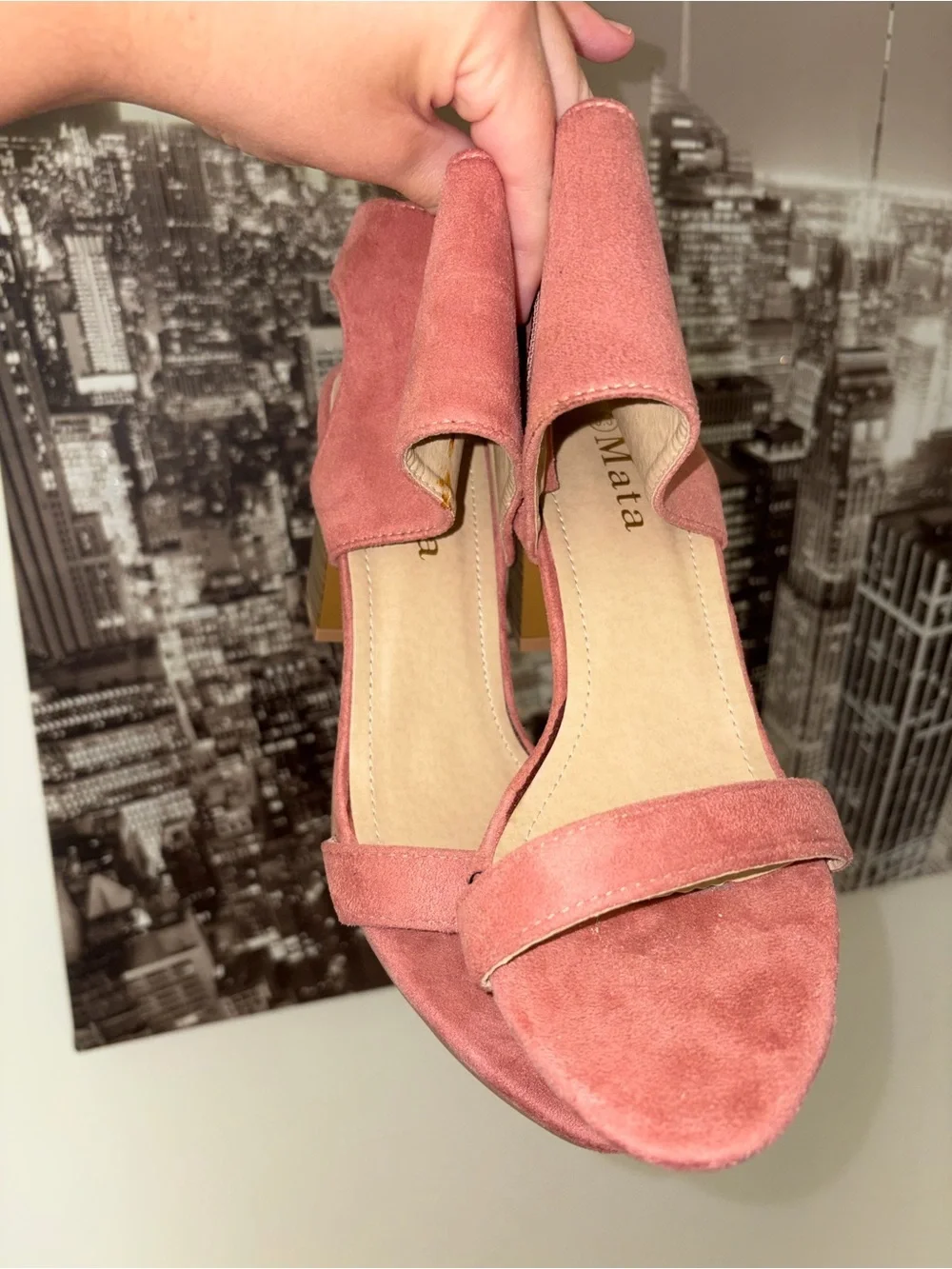 Suede Pink Block Heel Sandals with Ankle Strap
